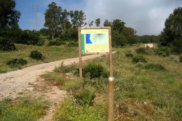ALGARBES – BETIJUELO