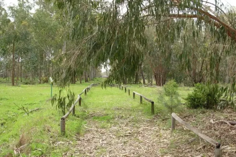 ARBORETO DEL VILLAR