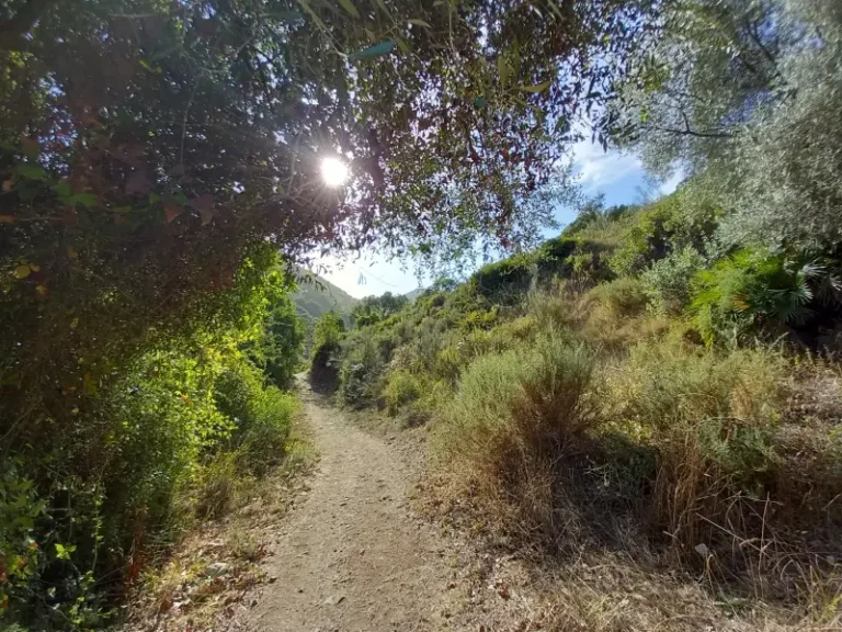 ARROYO BOCALEONES