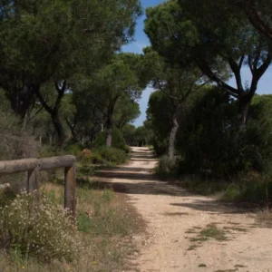 Carril cicloturista El Asperillo - ruta